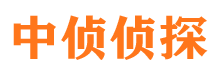 沐川捉小三公司